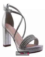 Silver Shimmer